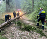 Freiwillige Feuerwehr Senftenberg